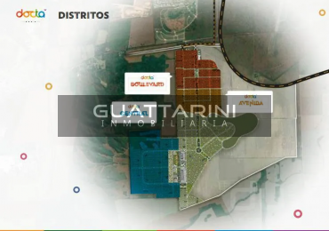 Lotes en DOCTA